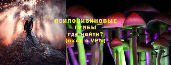 метадон Няндома
