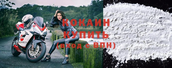 spice Аркадак