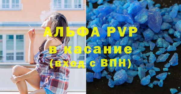 spice Аркадак